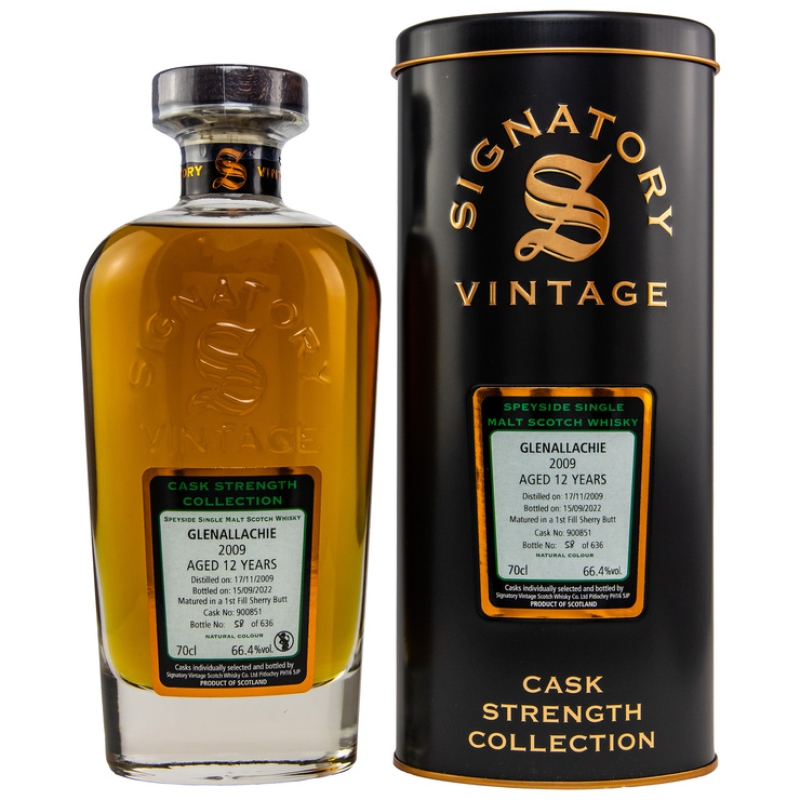 GlenAllachie 2009/2022 Signatory Vintage #900851
